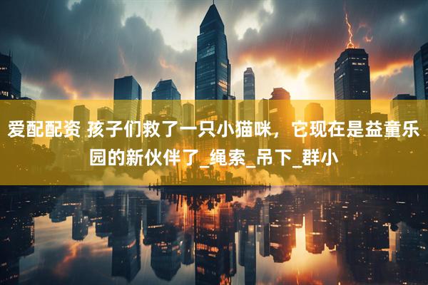 爱配配资 孩子们救了一只小猫咪，它现在是益童乐园的新伙伴了_绳索_吊下_群小
