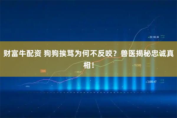 财富牛配资 狗狗挨骂为何不反咬？兽医揭秘忠诚真相！