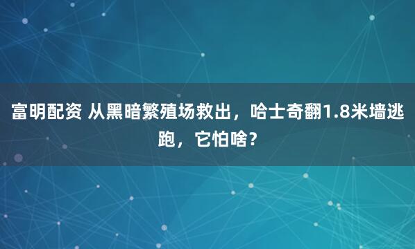 富明配资 从黑暗繁殖场救出，哈士奇翻1.8米墙逃跑，它怕啥？