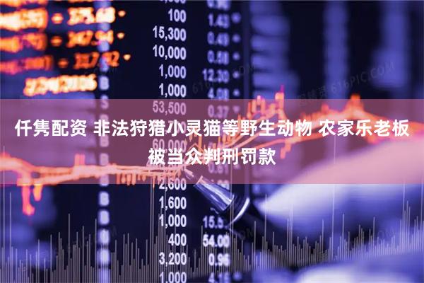 仟隽配资 非法狩猎小灵猫等野生动物 农家乐老板被当众判刑罚款