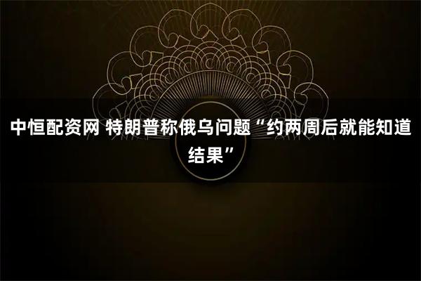 中恒配资网 特朗普称俄乌问题“约两周后就能知道结果”