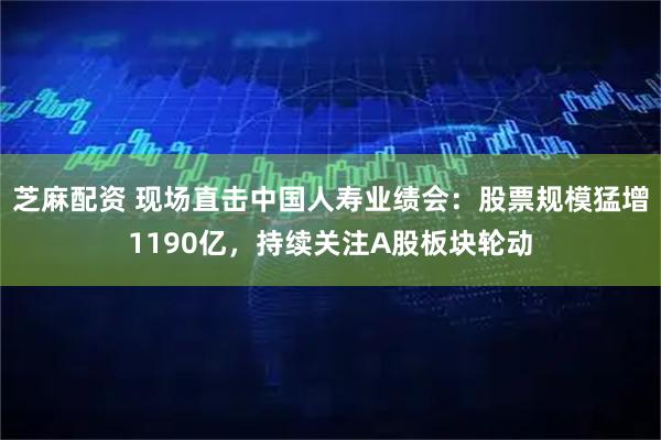 芝麻配资 现场直击中国人寿业绩会：股票规模猛增1190亿，持续关注A股板块轮动