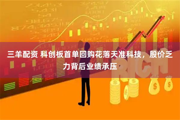 三羊配资 科创板首单回购花落天准科技，股价乏力背后业绩承压