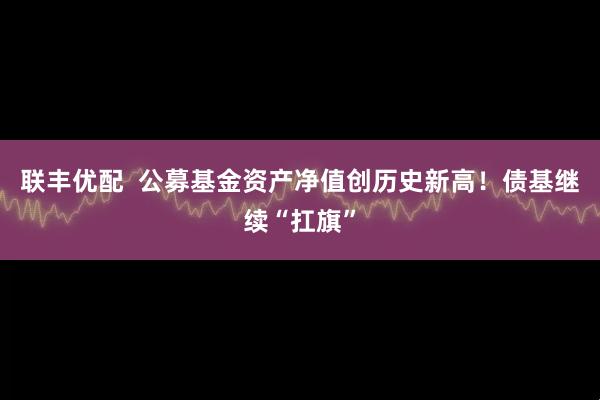 联丰优配  公募基金资产净值创历史新高！债基继续“扛旗”
